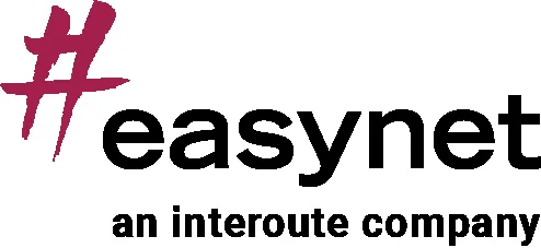 EasyNet logo