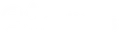 eAuditors