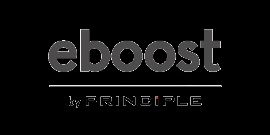 Eboost Consulting logo