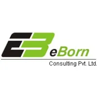 eBorn Consulting