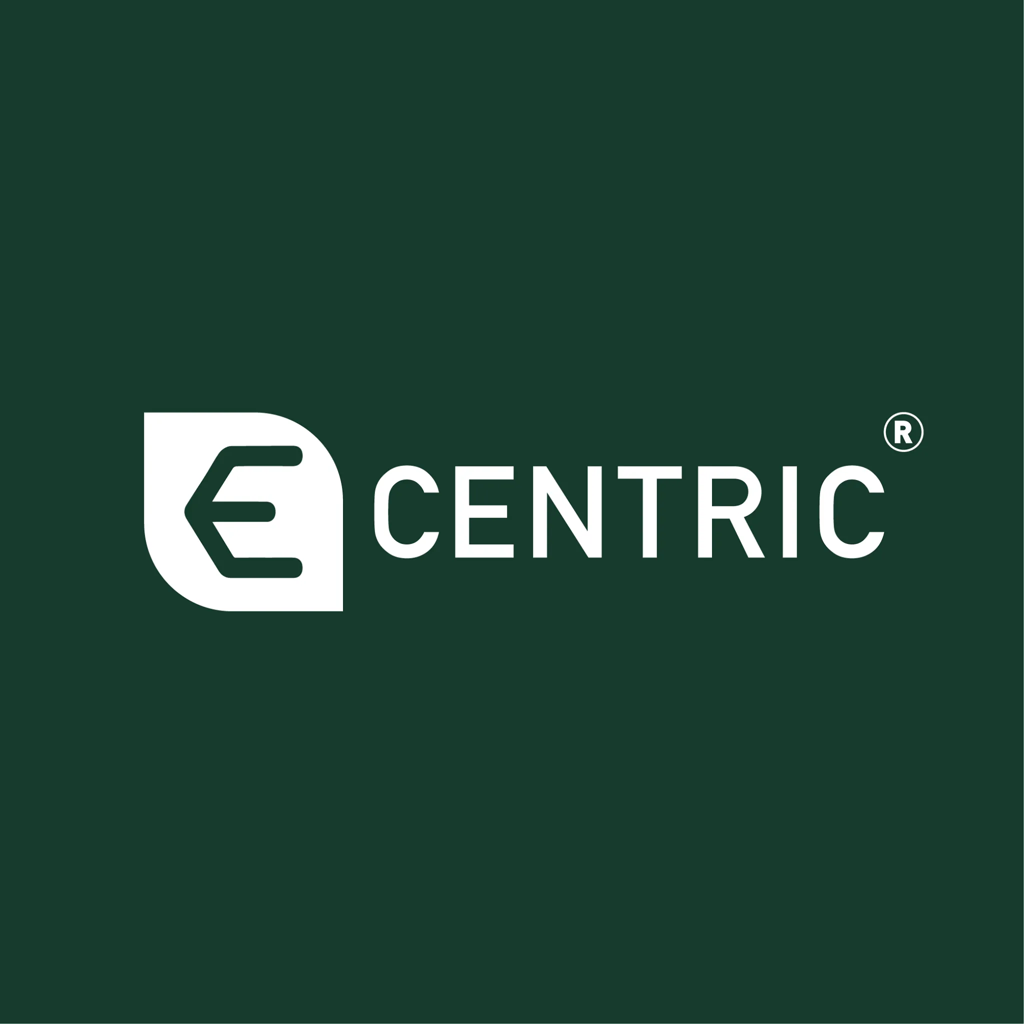 Ecentric logo