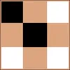 Echo Chunk logo