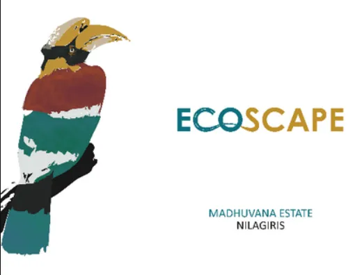 EcoScape logo