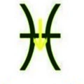 Eddy InfoTech