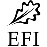 EFI logo