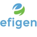 Efigen