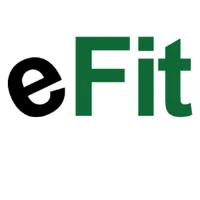 Efit Financial logo