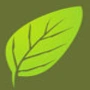 Banyan green fuels