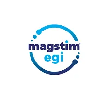 Electrical Geodesics logo