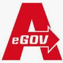 Beijing Digital Zhengtong Technology logo