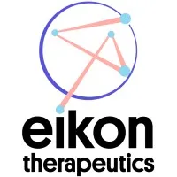 Eikon logo