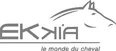 EKKIA logo