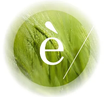 Eko Agro logo