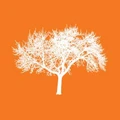 Eldermark logo