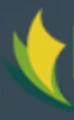 Elitstone logo