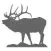 Elk Capital Partners logo