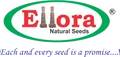 Ellora Natural Seed