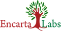 Encarta Labs