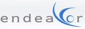 Endeavor Systems logo