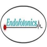 Endofotonics