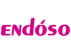 Endoso