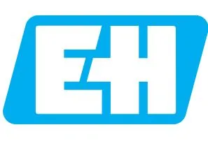 Endress+Hauser logo