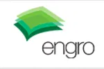 Engro Holdings logo