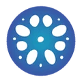 Ensaras logo