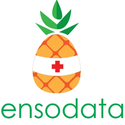 EnsoData logo