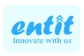 Entit Consultancy Services