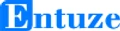 Entuze Technology Solution
