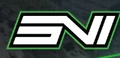 ENVi ESPORTS logo