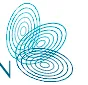 Envision Medical Imaging logo