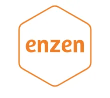Enzen logo