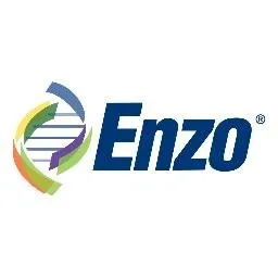 Enzo