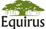 Equirus Capital logo