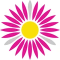 Erigeron Energy