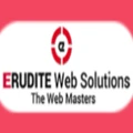 Erudite Web Solutions logo
