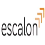 Escalon Services logo
