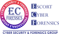 Escort cyber forensics