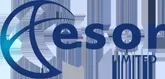 Esor logo