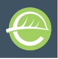 Ethical Swag logo
