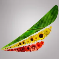 Ethiopian Airlines logo