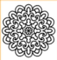 Ethnicroop logo