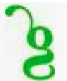 Evergreen Venture Partners logo