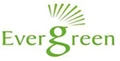 Evergreen Solar Systems