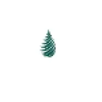 Evergreen Oil logo