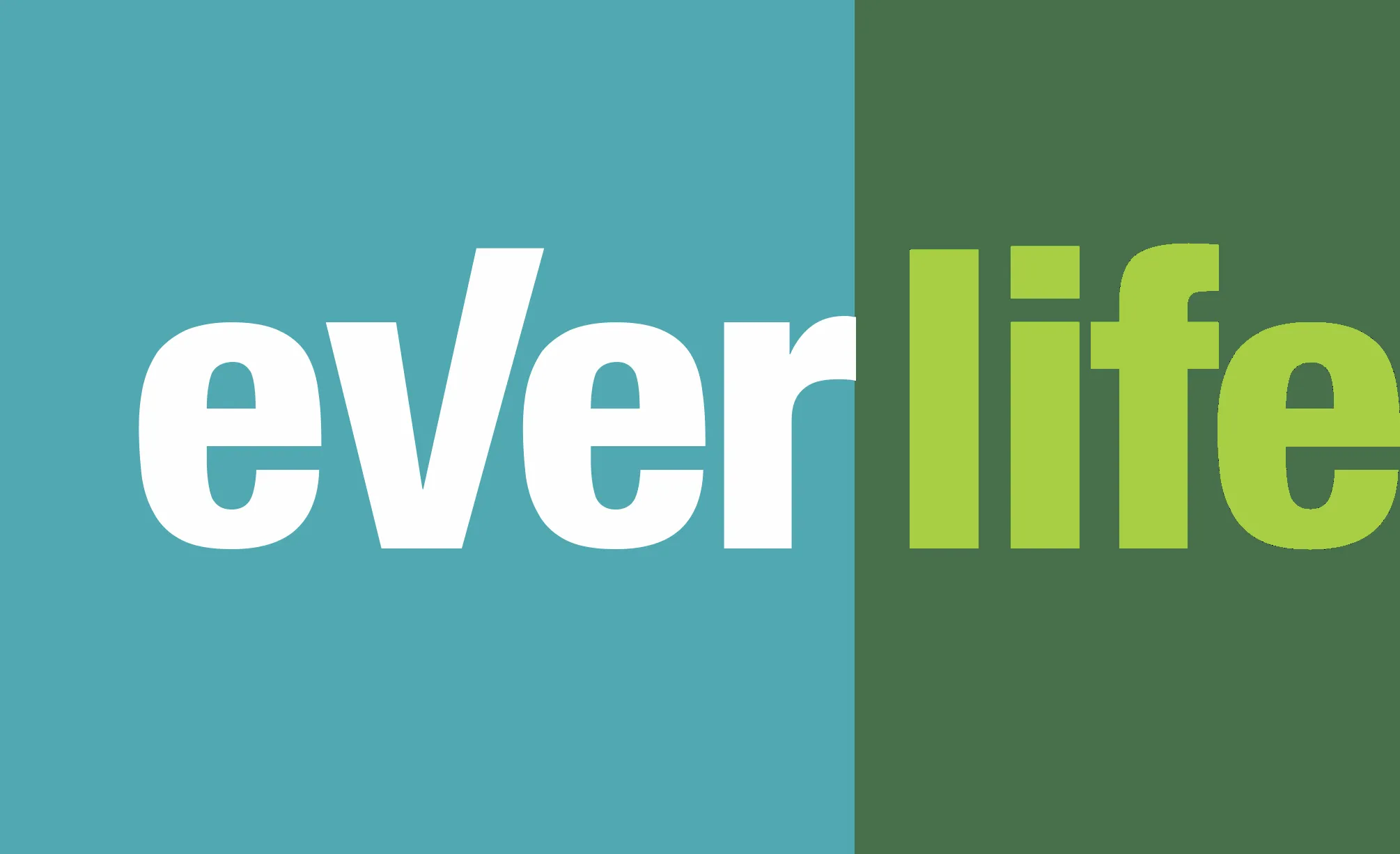 Everlife Asia logo