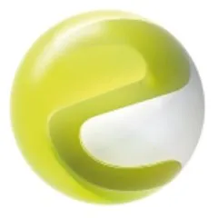 Everwin logo