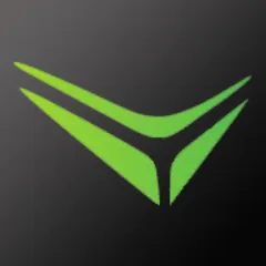 Everysight logo